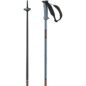 Salomon Bâtons Polar Pro