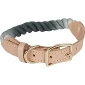 Companion col multicolore - L : 43-55 cm (Chien)