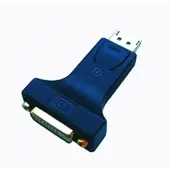 E+p GmbH & Co.KG Adaptateur Displayport DP6 (DVI), Adaptateur données + vidéo, Noir