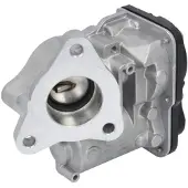 Delphi Vanne EGR EG10557-12B1