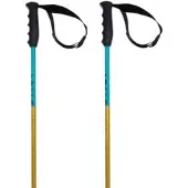Völkl Phantastick Junior Poles Clair 100 cm Enfants