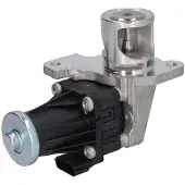 Delphi Vanne EGR EG10553-12B1
