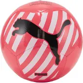 Puma 4