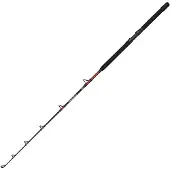 Penn Warfare Ii Trolling Rod Argenté 1.70 m / 30-50 Lbs