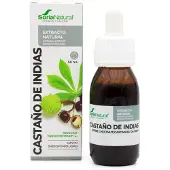 Sidroga Gesellschaft für Gesundheitsprodukte mbH Horse Chestnut Aesculus Hippocastanum XXI 50 ml Solution(S)