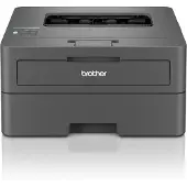 Brother HL-L2400DWE