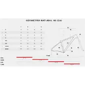 Megamo Natural 40 29´´ Acera 2026 Mtb Bike Gris S