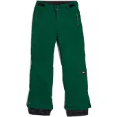 O'Neill Pantalon d'extérieur sapin
