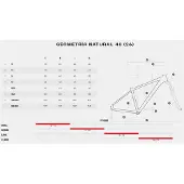 Megamo Natural 40 29´´ Acera 2026 Mtb Bike Blanc L