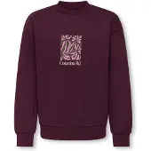 Only & Sons Sweatshirt Beaufort Garçon Fig