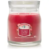 Yankee candle Santa On Skis bougie parfumée 368 g