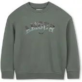 Zadig & Voltaire X60433 Sweatshirt Vert 14 Years Fille