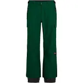 O'Neill Fwc Cruz Cargo Pants Vert S Homme