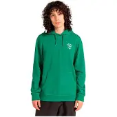 Element Park Hoodie Vert L Homme