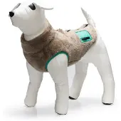 Beeztees Manteau pour chien Teddy (36, Peignoir pour chien)
