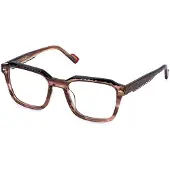Sting Lunettes de Vue - - VST570V - Acétate - Marrone striato trasparente - 53/21/145