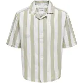 Only & Sons Chemise 'Tes' marron