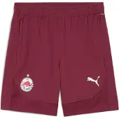 Puma Hommes, Bas de sport, Short d'entraînement RBS (L), Rouge