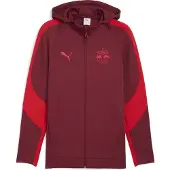 Puma Hommes, Vestes de survêtement, Veste à capuche RBS EVOSTRIPE (M), Rouge, M