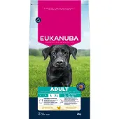Eukanuba Adult Large poulet pour chien
