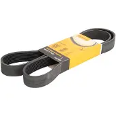 CONTITECH Courroie trapézoïdale à nervures CONTINENTAL 8PK1371
