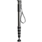 Gitzo Gm45452 Serie 5 Monopod Argenté