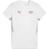 Puma Hommes, T-shirt de sport, Tee Rbl Evostripe (S), Blanc, S