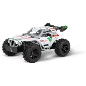 Carrera 2.4GHz Team Rider 1:20