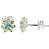 Radiant Ry000109 Earrings Clair Femme