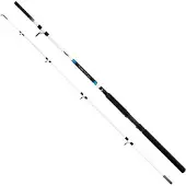 Kamasaki Cat Catfish Rod Clair 2.70 m / 100-300 g