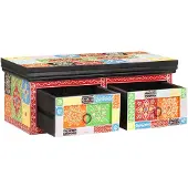 vidaXL Armoire TV Multicolore 60 x 30 x 24 cm Bois massif Mango