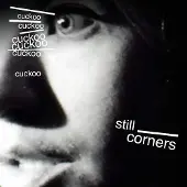 Konkurrent Cuckoo