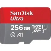 SanDisk microSDHC Ultra 256 Go (UHS-1/Cl.10/100MB/s) + adaptateur, tablette (00215484)