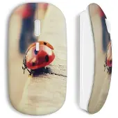 CAPACHEAP Souris Sans Fil Coccinelle