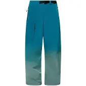 Oakley Apparel Channel Grade Cargo Pants Bleu XL Homme