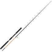 Hart Nation Popping rod Silver 2.36 m / 80-180 g Silver 2.36 m