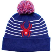 Spyder Icebox Beanie Bleu M-L Enfants
