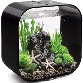 Oase - Aquarium 30l Contours Noir Life 30mcr Black