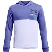 Under Armour Sweat à Capuche Rival Terry