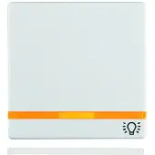 Berker Rocker avec 2 lentilles et impression - Plaque de recouvrement pour interrupteur / bouton blanc 16216079