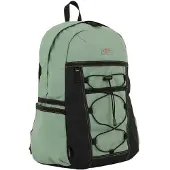 Dickies Ashville Backpack Vert