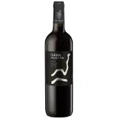 Corsican Groupe Uval Terra Nostra 2019 Corse