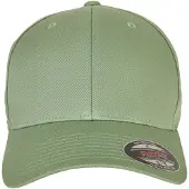 Flexfit Casquette vert / noir / argent