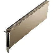 PNY Nvidia Gddr6 (24 Go, GDDR6), Carte graphique, Beige, Bronze