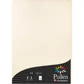 Pollen Clairefontaine Pollen - Papier teinté - crème irisé - A4 (210 x 297 mm) - 120 g/m² - 50 feuille(s)