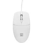 Natec Souris optique USB Type-A NMY-1988