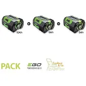 EGO Power+ Pack 20AH de batteries Ego Power 56V PACK-20AH