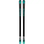 Kästle Rx12 Gs Factory Fis S+plate 10mm Alpine Skis Vert 185