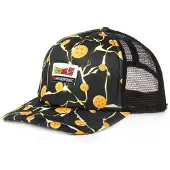Hydroponic Casquette Dragon Ball Z Balls