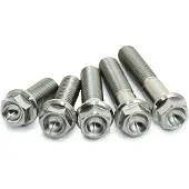 DMS SCAR Kit de vis pour moteur 48 vis en titane